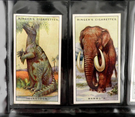 Prehistoric Animals Cigarette Cards by Edwards Ringer and Bigg - Etsy