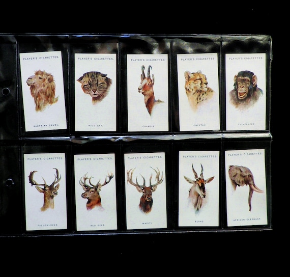 rare players cigarette cards Two rare framed collection of antique cigarette cards for Copes Cigarettes titled "Cope's Golfers" c John Player Sons-Brooke Bond Oxo