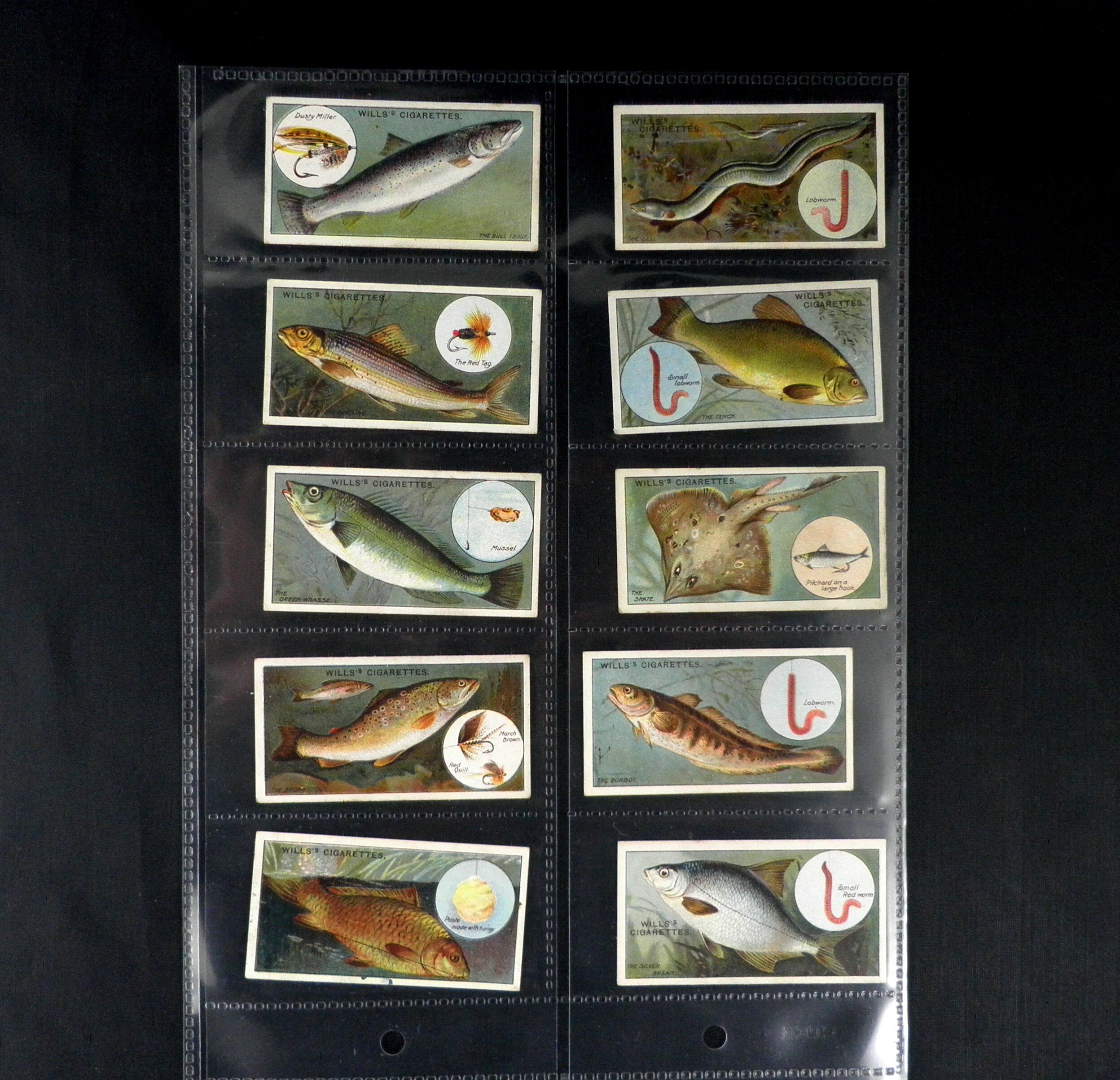 Fish and Bait Cigarette Cards by WD and HO Wills Set of 50 Issued in 1910 Fish  Fishing Angling Nature Sport History Rare Collectable