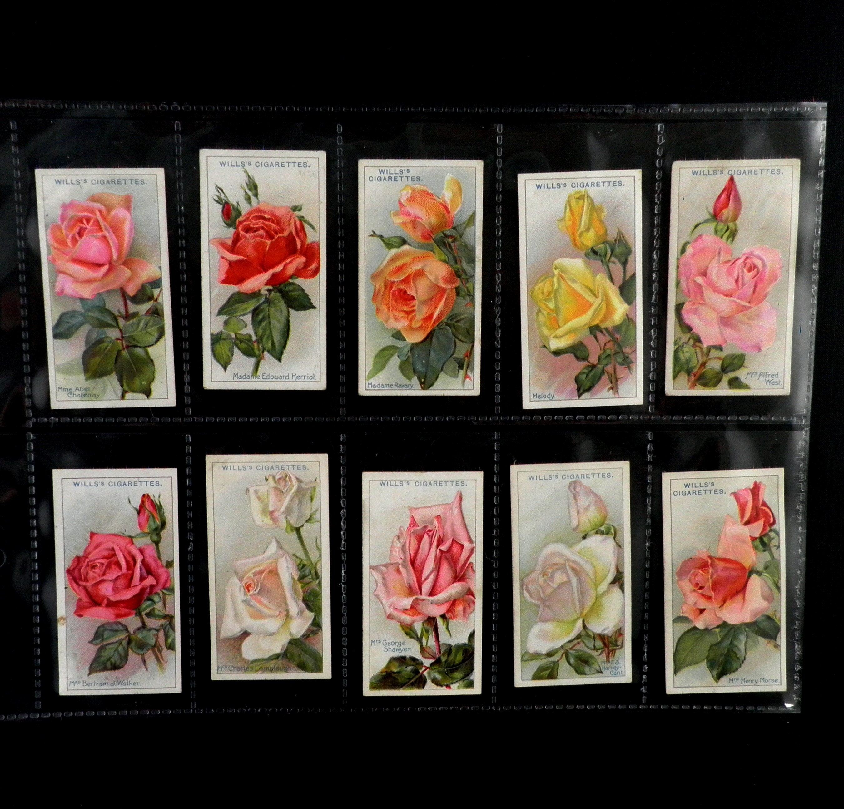 Roses Cigarette Cards by WD and HO Wills Set of 50 Issued in | Etsy