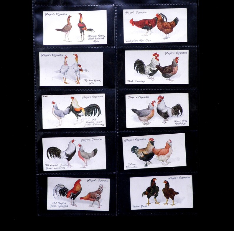 Poultry Cigarette Cards by John Player Set of 50 Issued in 1931 Nature Chickens Rare Breeds Farming Rare image 3