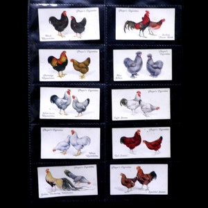 Poultry Cigarette Cards by John Player Set of 50 Issued in 1931 Nature Chickens Rare Breeds Farming Rare image 8