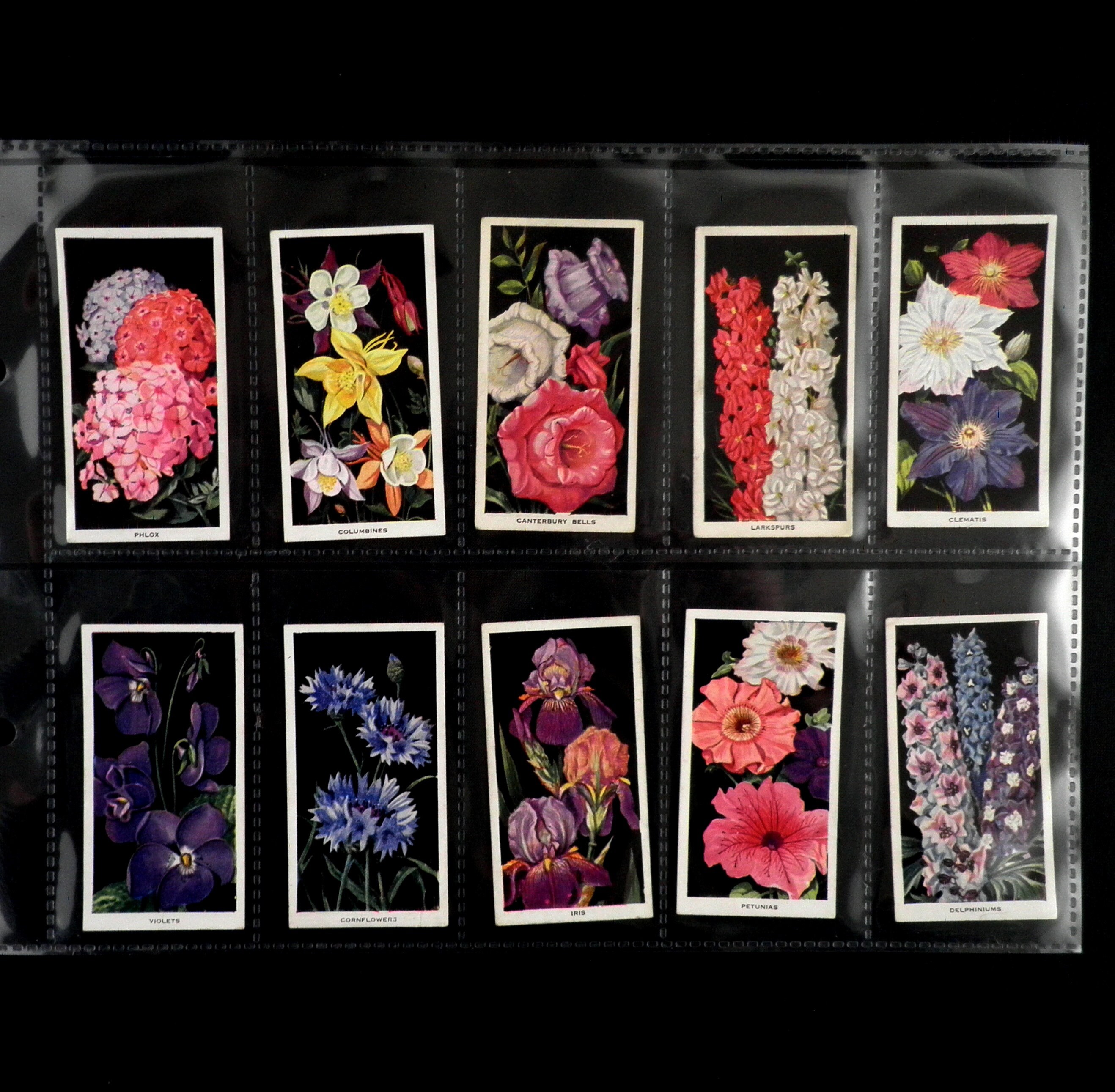 Flowers Cigarette Cards by Carreras Set of 50 Issued in 1936 Etsy