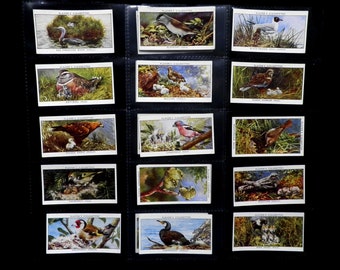 Birds and their Young Cigarette Cards by John Player Set of 25 Issued in 1955 Ornithology Birds Nature  Rare Gift