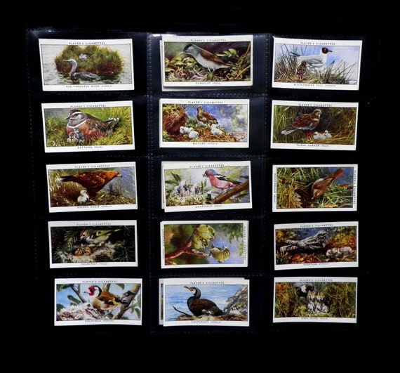 rare players cigarette cards Pokemon SR/SSR/CSR (Secret Rare, Super Secret Rare & Character Sup –  Tcgstore.se main image 0