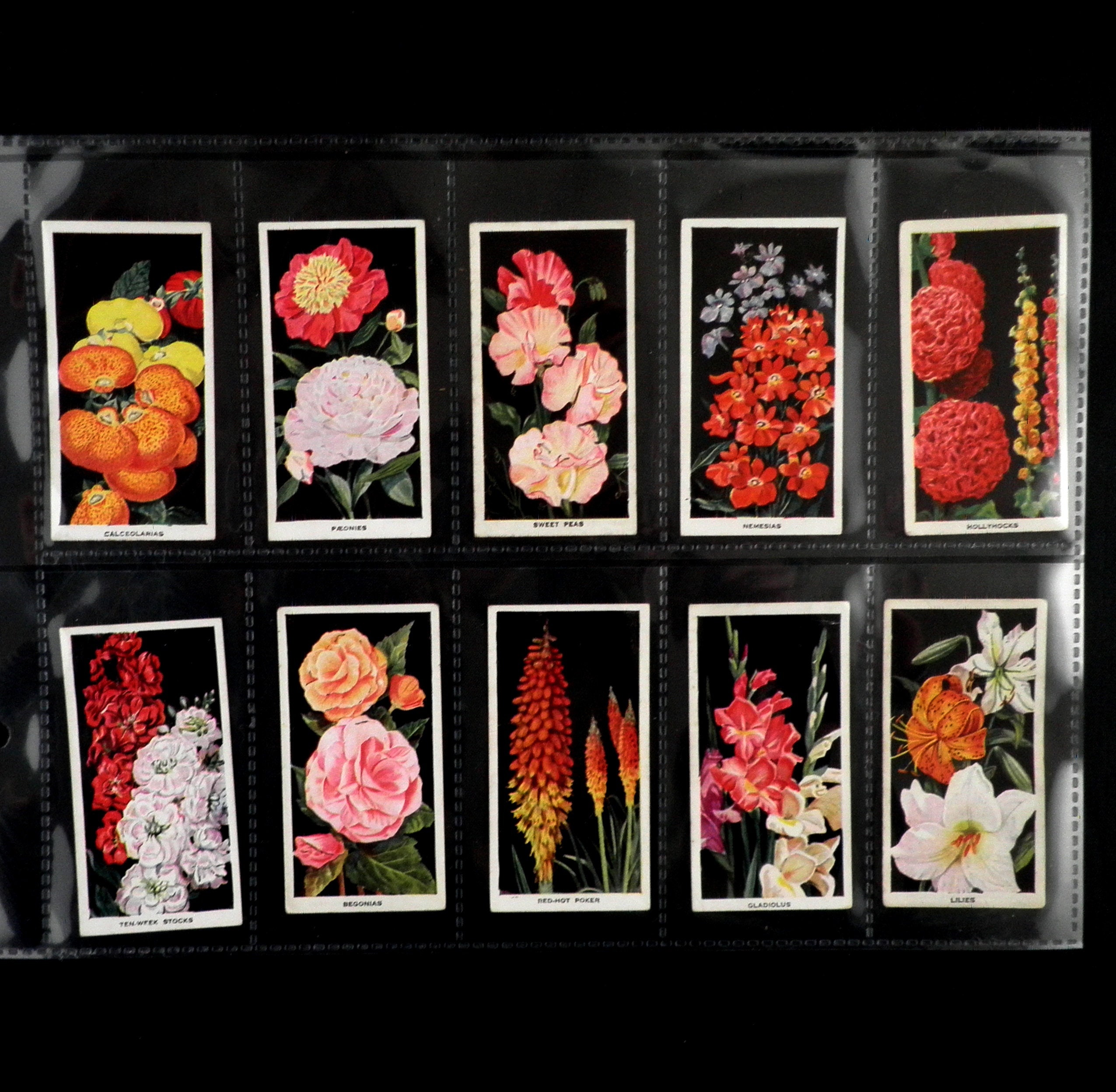 Flowers Cigarette Cards by Carreras Set of 50 Issued in 1936 Etsy