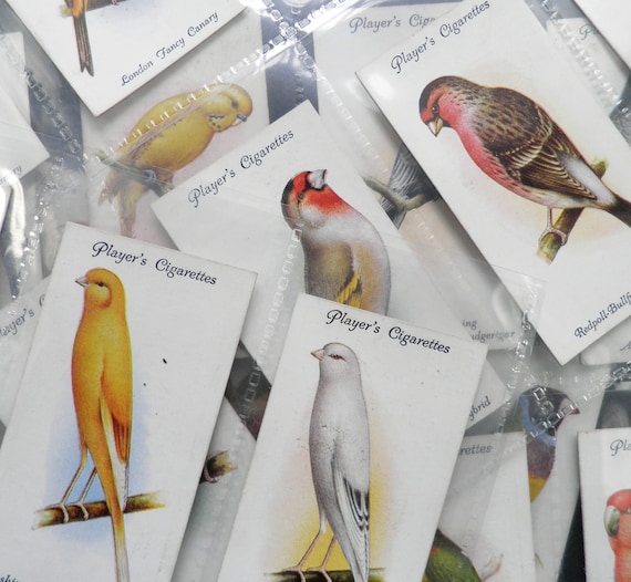Aviary and Cage Birds Cigarette Cards by John Player Set of 50 Issued in  1933 History Pets Birds Ornithology Song Birds Gift Present Rare