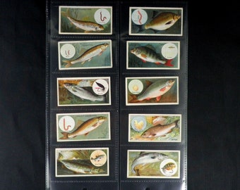 Fish and Bait Cigarette Cards by WD and HO Wills Set of 50 Issued in 1910 Fish Fishing Angling Nature Sport History  Rare Collectable