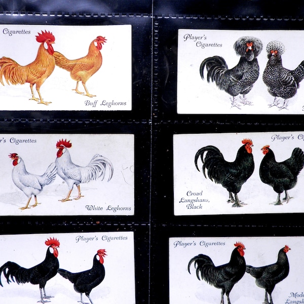 Poultry Cigarette Cards by John Player Set of 50 Issued in 1931  Nature Chickens Rare Breeds Farming   Rare