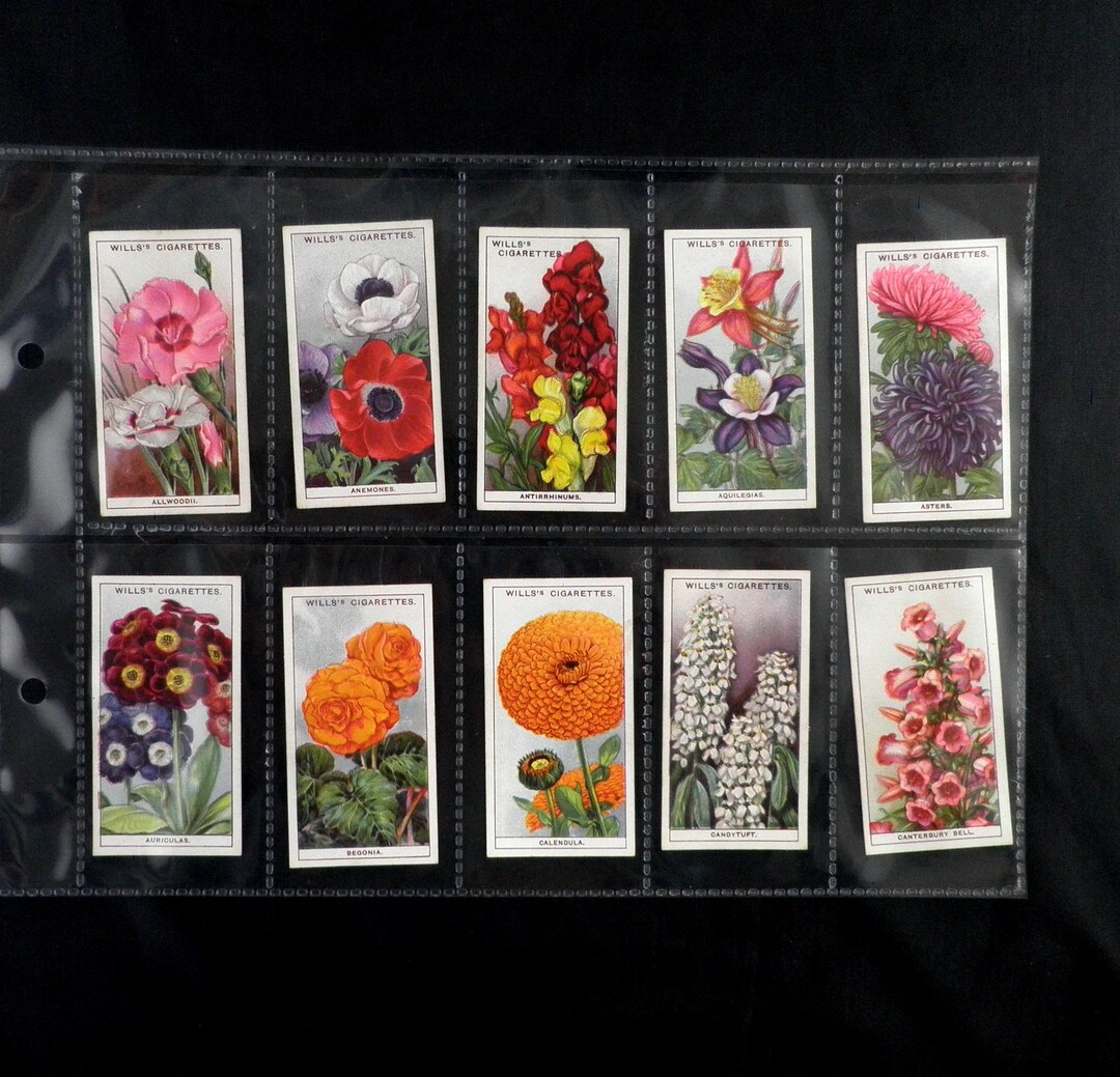 イギリスアンティーク シガレットカードSC10☘️レア 薔薇バラ 25枚セット アンティークシガレットカード cigarette cards イギリス will's