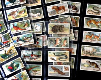 Nature Series Cigarette Cards by John Player and Sons Set of 50 Issued in 1908  History Fauna Nature Animals Rare Collectable