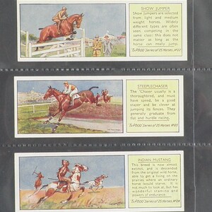 Cartes d’échange de chevaux par Typhoo Set de 25 émises en 1934 Cheval Cavaliers Cavaliers Équitation Collectionnable Rare Présent