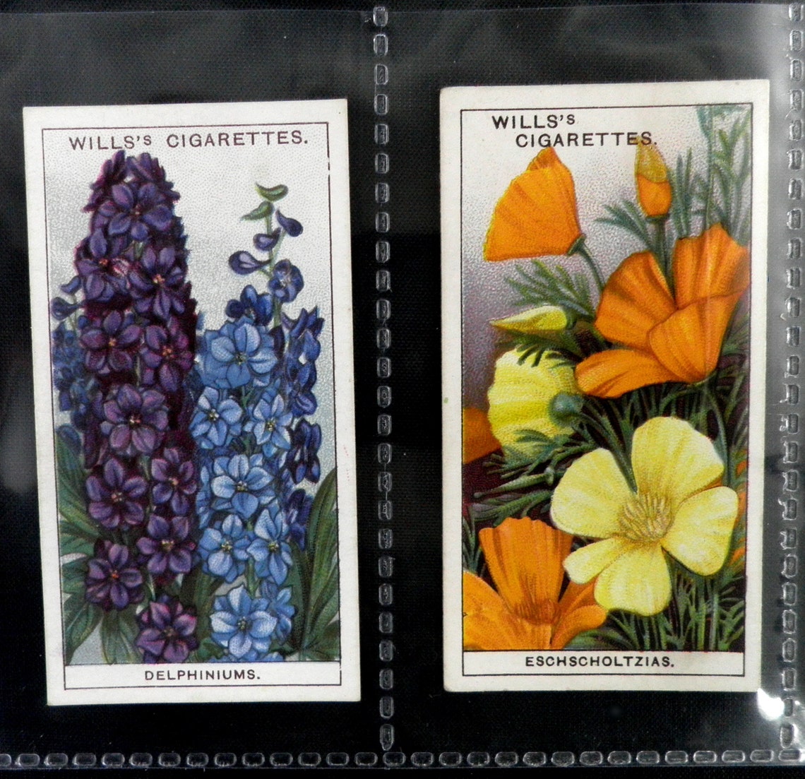 Garden Flowers Cigarette Cards by WD & HO Wills Set of 50 Etsy