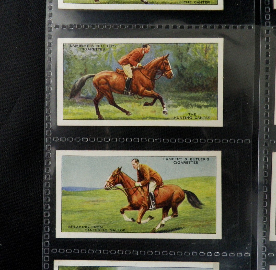 Horsemanship Cigarette Cards by Lambert and Butler Set of 50 Issued in 1938  Horse Equine Riding Sport Investment Rare