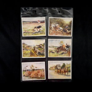 Country Sports ( Large ) Cigarette Cards by John Player Set of 25 Issued in 1930 Sports Racing Hunting Country Rare Gift