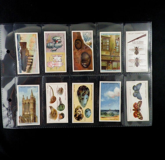 an album of wild flowers cigarette cards The Album of Wild Flowers by W. D. & H. O. Wills – Morgan's Rare Books