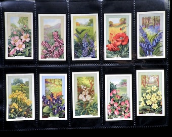 Wild Flowers Cigarette Cards by Gallahers Set of 48 Issued in 1939 Flowers Flora Nature Plants Rare Gift