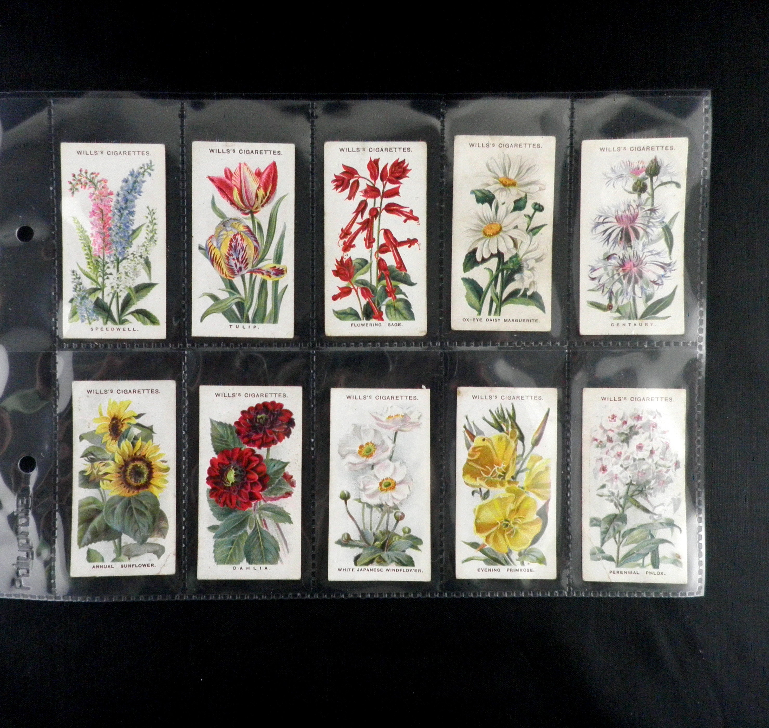 Old English Garden Flowers Cigarette Cards by WD and HO Wills Set of 50  Issued in 1911 Plants Flowers Gardening Botany Rare