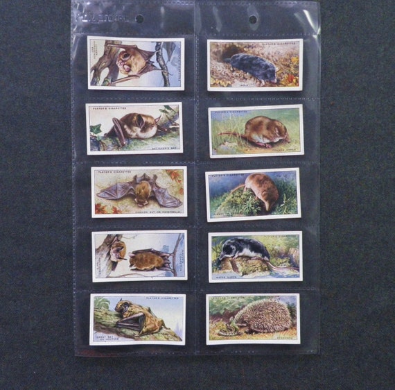 australian cigarette cards Animals of the Countryside Cigarette Cards by John Player Set of 50 Issued  in 1939 History Animals Nature Wildlife Gift Present Rare