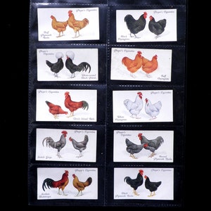 Poultry Cigarette Cards by John Player Set of 50 Issued in 1931 Nature Chickens Rare Breeds Farming Rare image 7