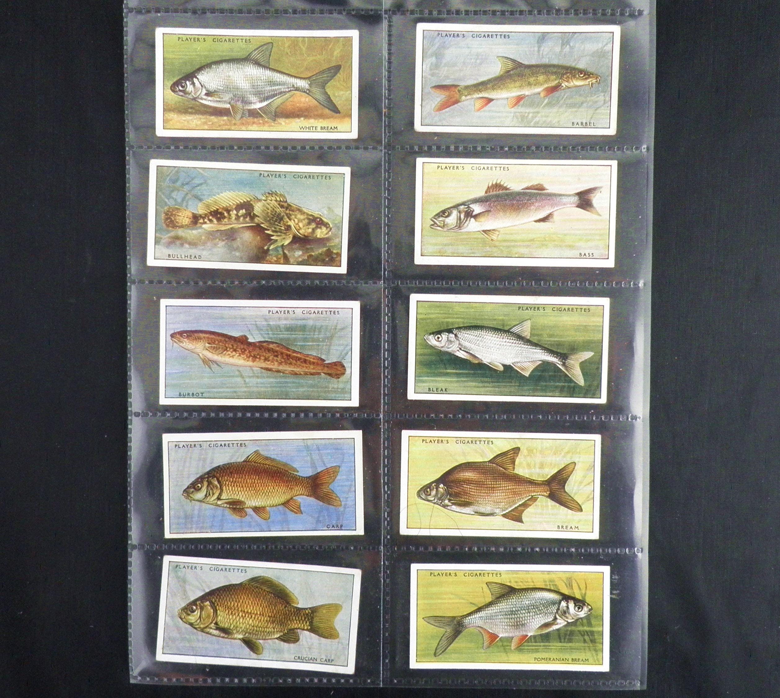 Fresh Water Fish Cigarette Cards by John Player Set of 50 Issued in 1933  History Fish Angling Fishing Rare
