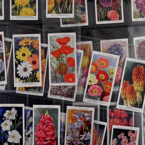 Garden Flowers Cigarette Cards by WD & HO Wills Set of 50 Issued in 1939 Nature Flowers Gardening Plants Rare Gift