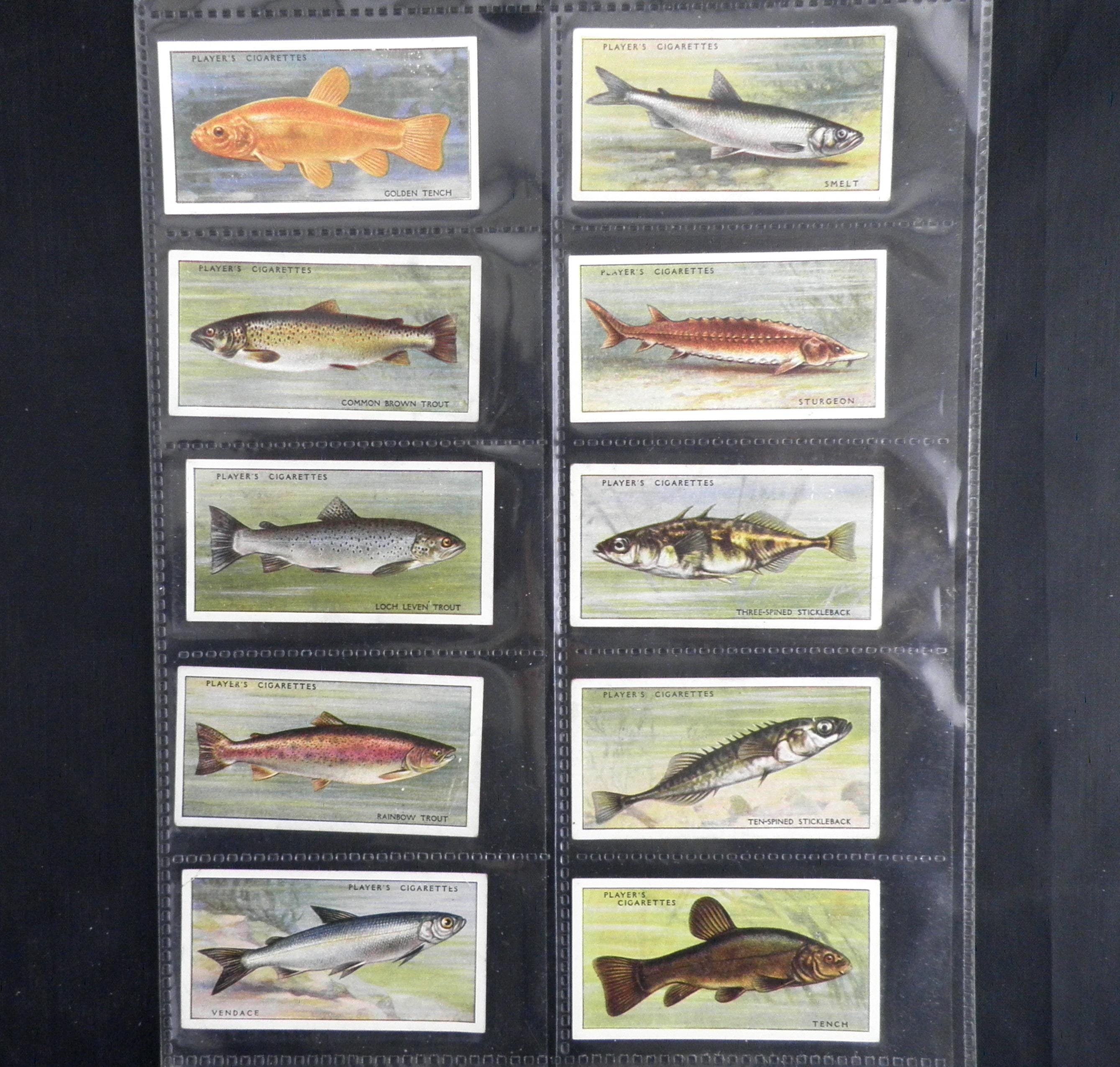fish cigarette cards Fresh Water by John Player Set of 50 Issued in 1933 History Fish Angling Fishing Rare Fresh Water Fishes: Full Set