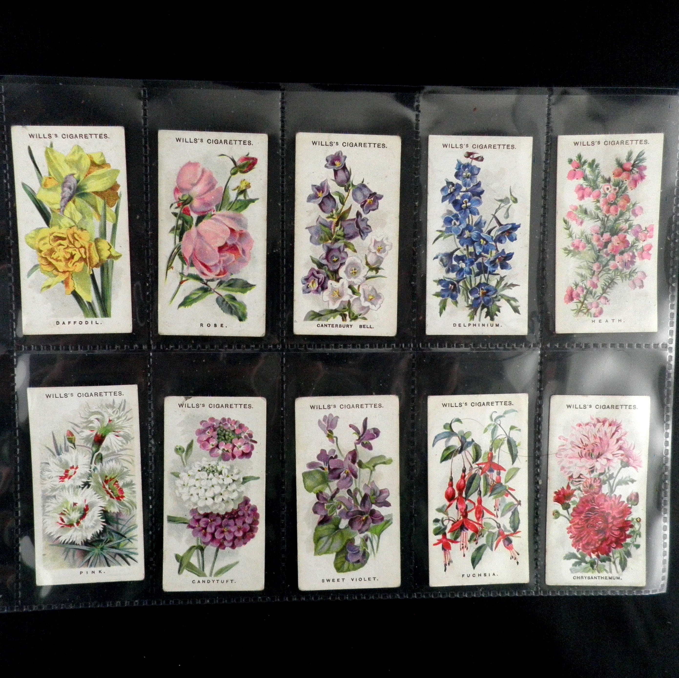 Old English Garden Flowers Cigarette Cards de WD y HO Wills Etsy
