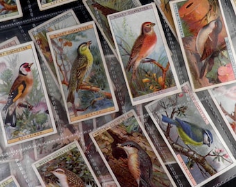 May include: A collection of vintage cigarette cards featuring colourful illustrations of various birds, including a goldfinch, linnet, siskin, and blue tit. The cards are printed with the text "Wills's Cigarettes" and the name of each bird.