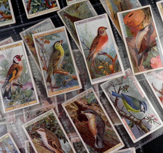 are cigarette cards worth anything uk British Birds Cigarette Cards by WD & HO Wills Set of 50 Issued in 1917  Birds Nature Ornithology Bird Watchingrare Gift
