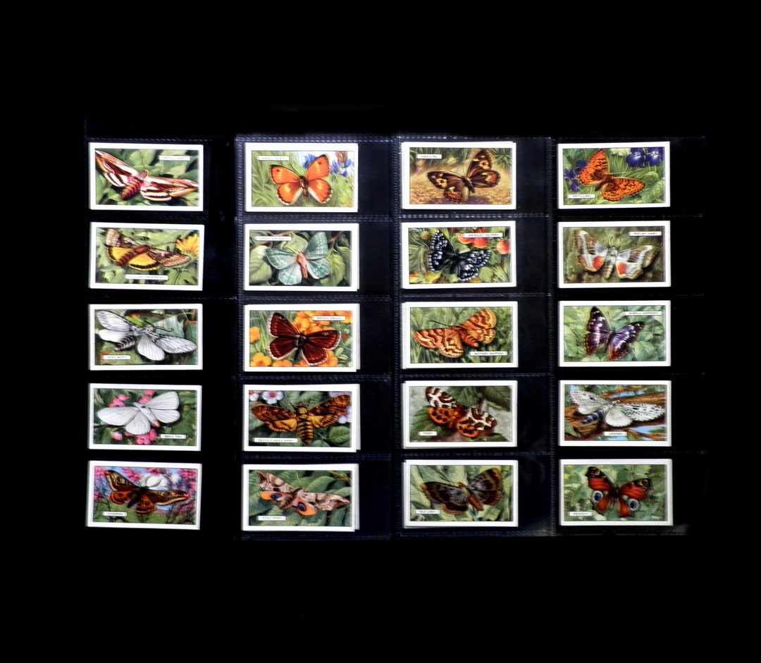 Butterflies and Moths Cigarette Cards by Gallahers Set of 48 Issued in 1938 Insects Lepidoptery