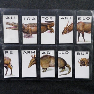 Op de afbeelding: Een vintage set van 10 dieren alfabetkaarten. Elke kaart heeft een kleurrijke illustratie van een dier en de bijbehorende letter van het alfabet. De dieren omvatten een alligator, een antilope, een gordeldier, een buffel, een hert, en meer.