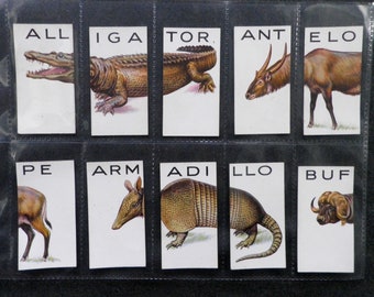 May include: A vintage set of 10 animal alphabet cards. Each card features a colorful illustration of an animal and the corresponding letter of the alphabet. The animals include an alligator, antelope, armadillo, buffalo, deer,  and more.