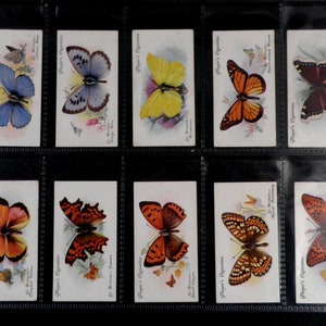 Cartões de cigarro de borboletas por John Player Conjunto de 50 emitidos em 1932 Insetos Lepidoptery Natureza Presente raro