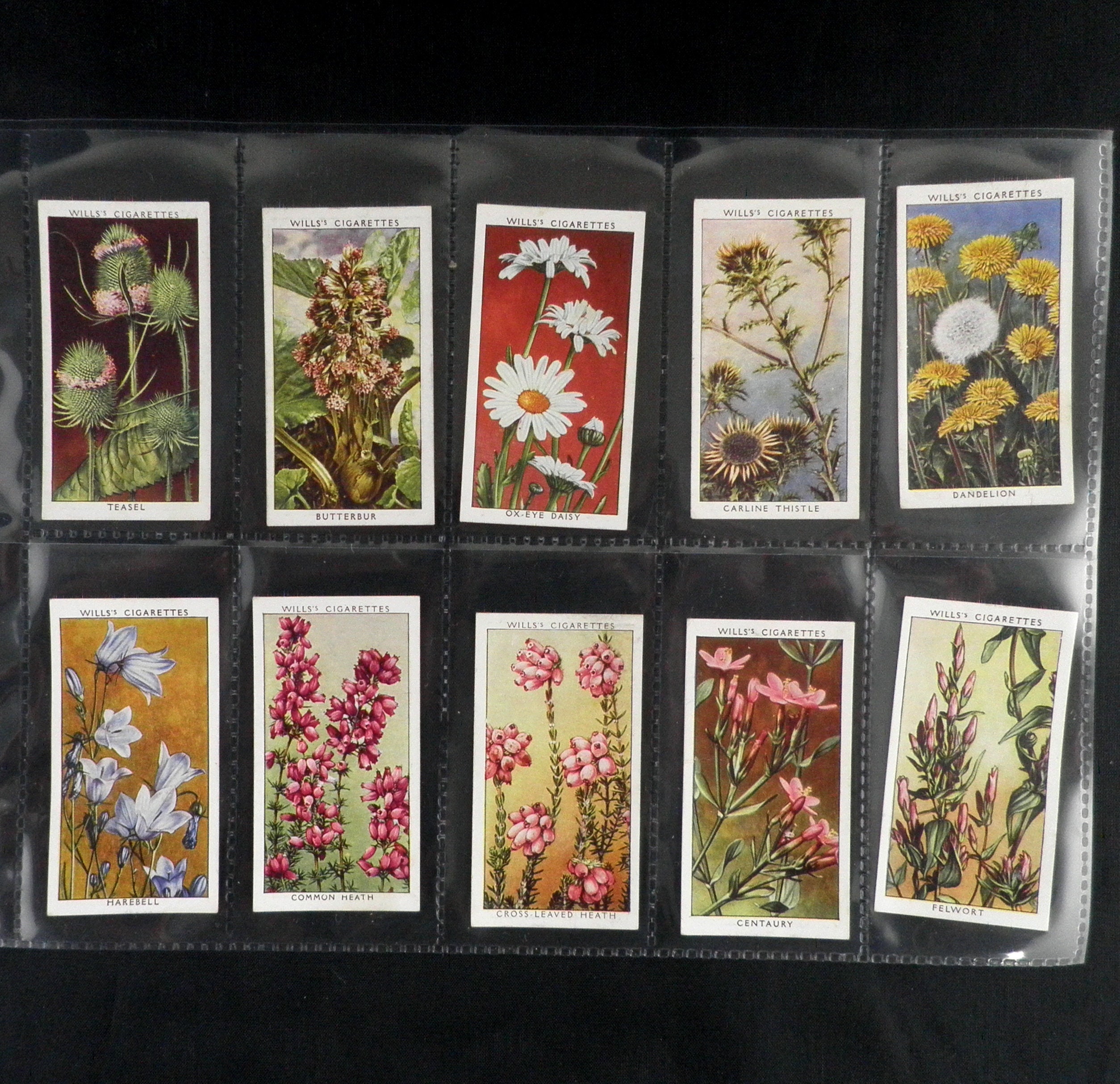 Wild Flowers 2nd Series Cigarette Cards by WD and HO Wills Etsy