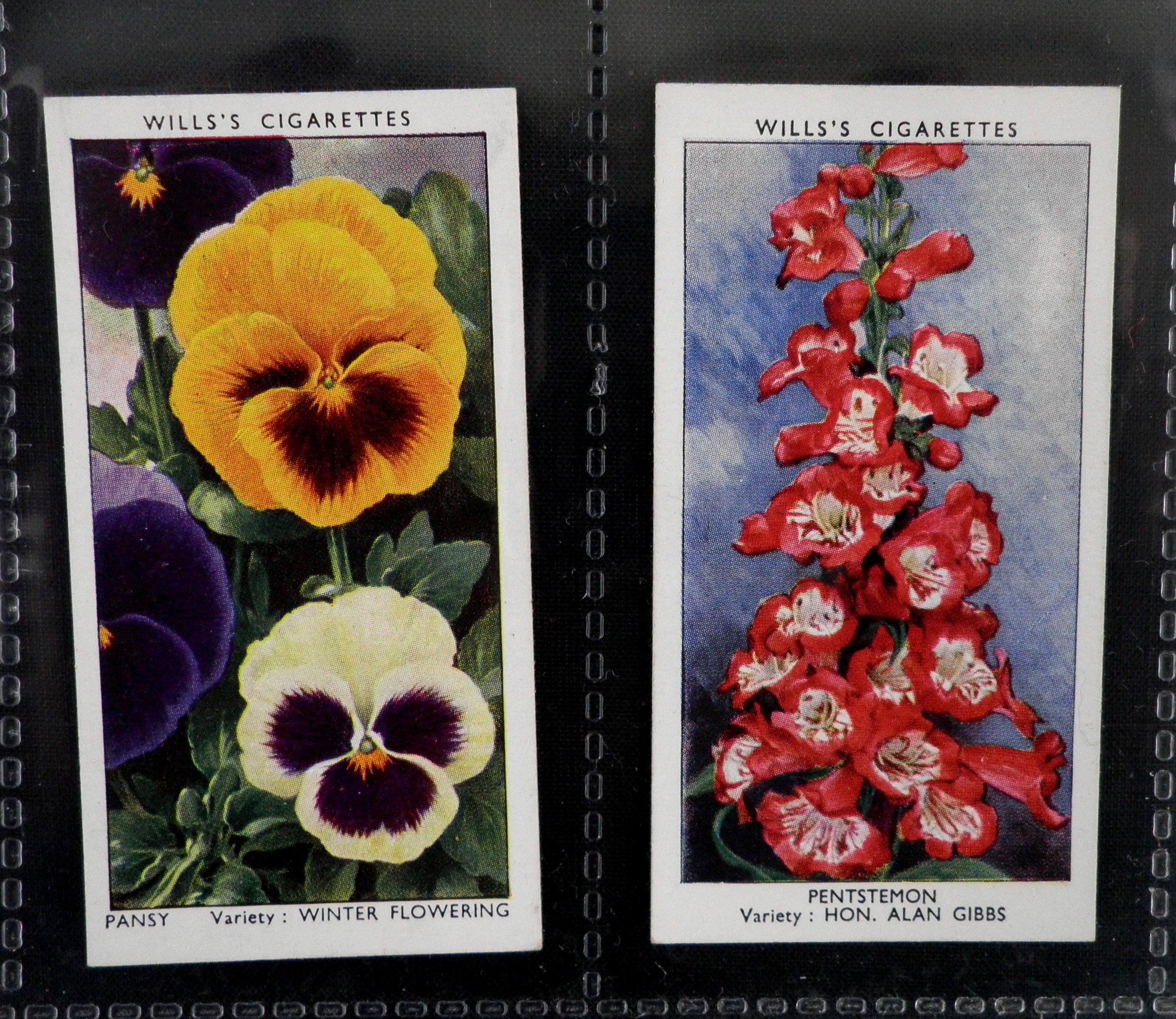 Garden Flowers Cigarette Cards by WD & HO Wills Set of 50 Etsy