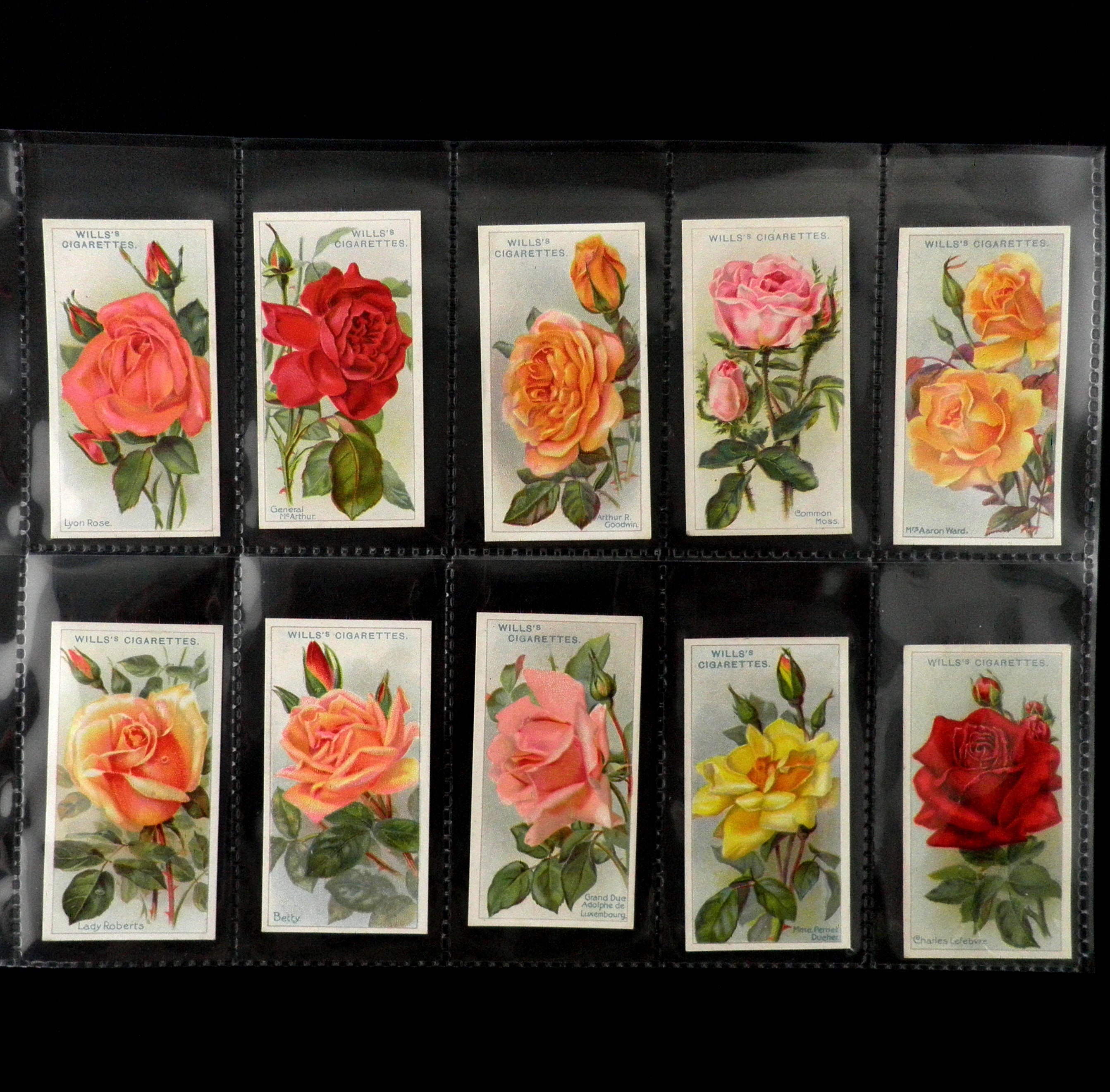 Roses Cigarette Cards by WD and HO Wills Set of 50 Issued in - Etsy