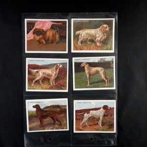 Honden (2e serie grote) sigarettenkaarten van WD & HO Wills Set van 25 Uitgegeven in 1915 Honden Huisdieren Hondenrassen Natuur Coach House Zeldzaam