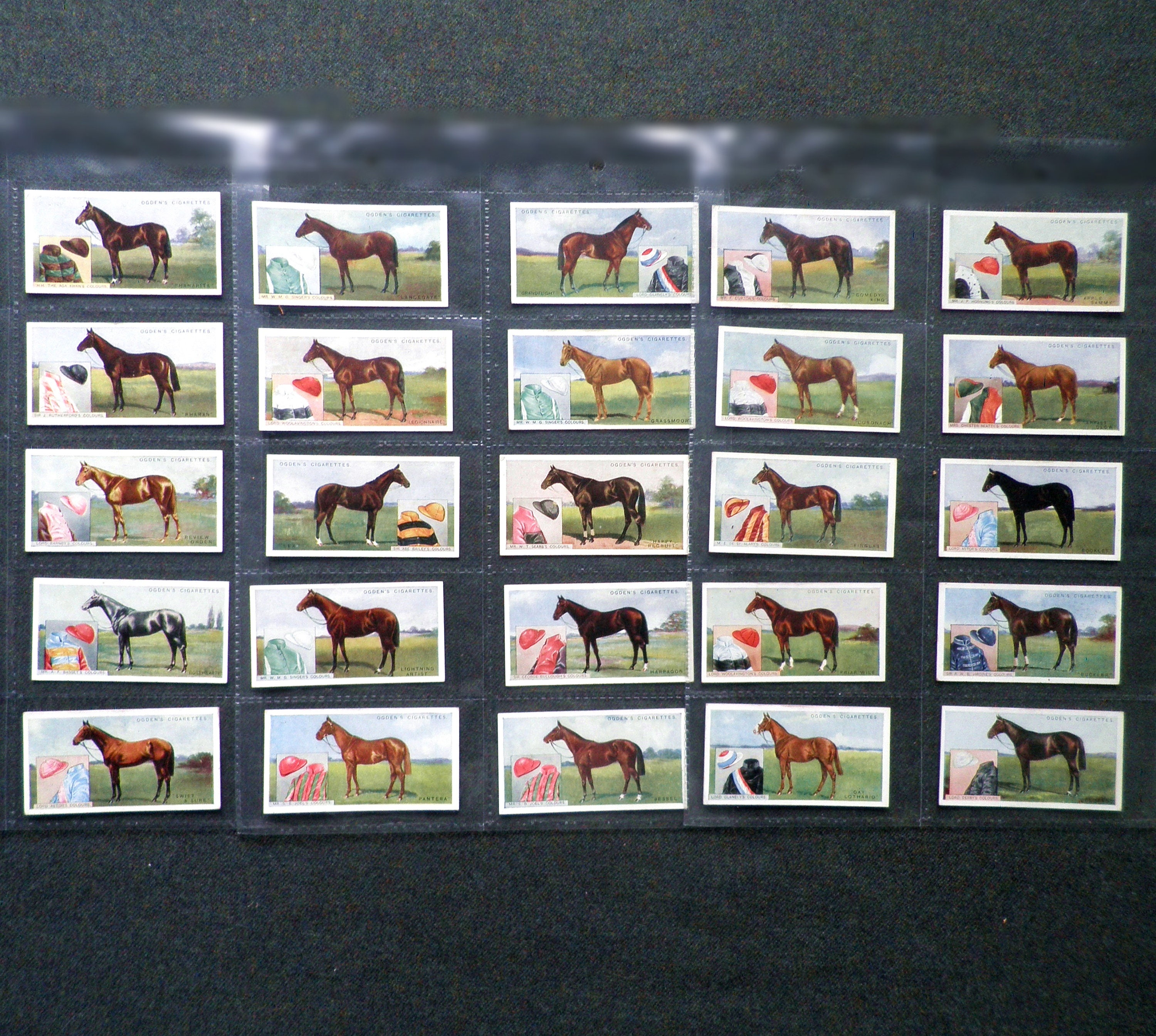 Regal Signature KS 20s | & Partners Australia