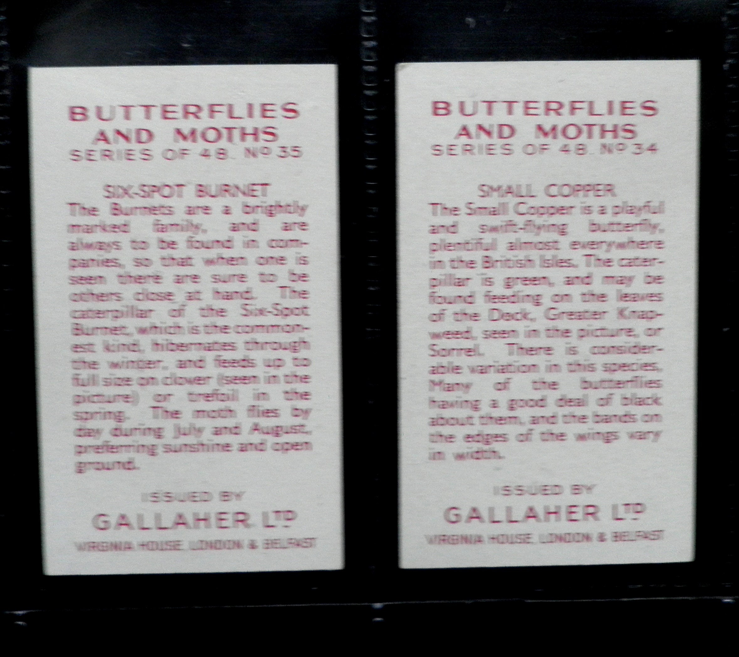 Butterflies and Moths Cigarette Cards by Gallahers Set of 48 Etsy