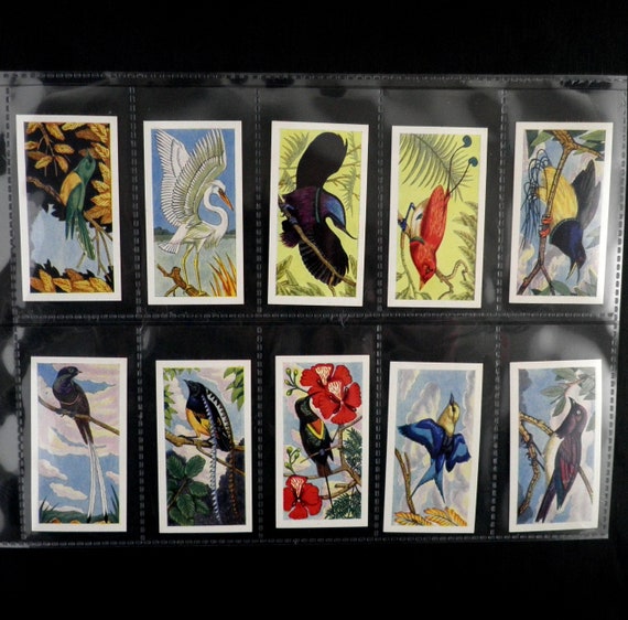rare valuable rare cigarette cards Mewtwo GX 31/68 Holo Rare Pokemon Card Near Mint main image 1