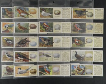 Puede incluir: Una colección de 20 tarjetas con ilustraciones de diferentes pájaros y sus huevos. Cada tarjeta tiene una ilustración colorida de un pájaro, su huevo y una descripción del pájaro y su huevo.