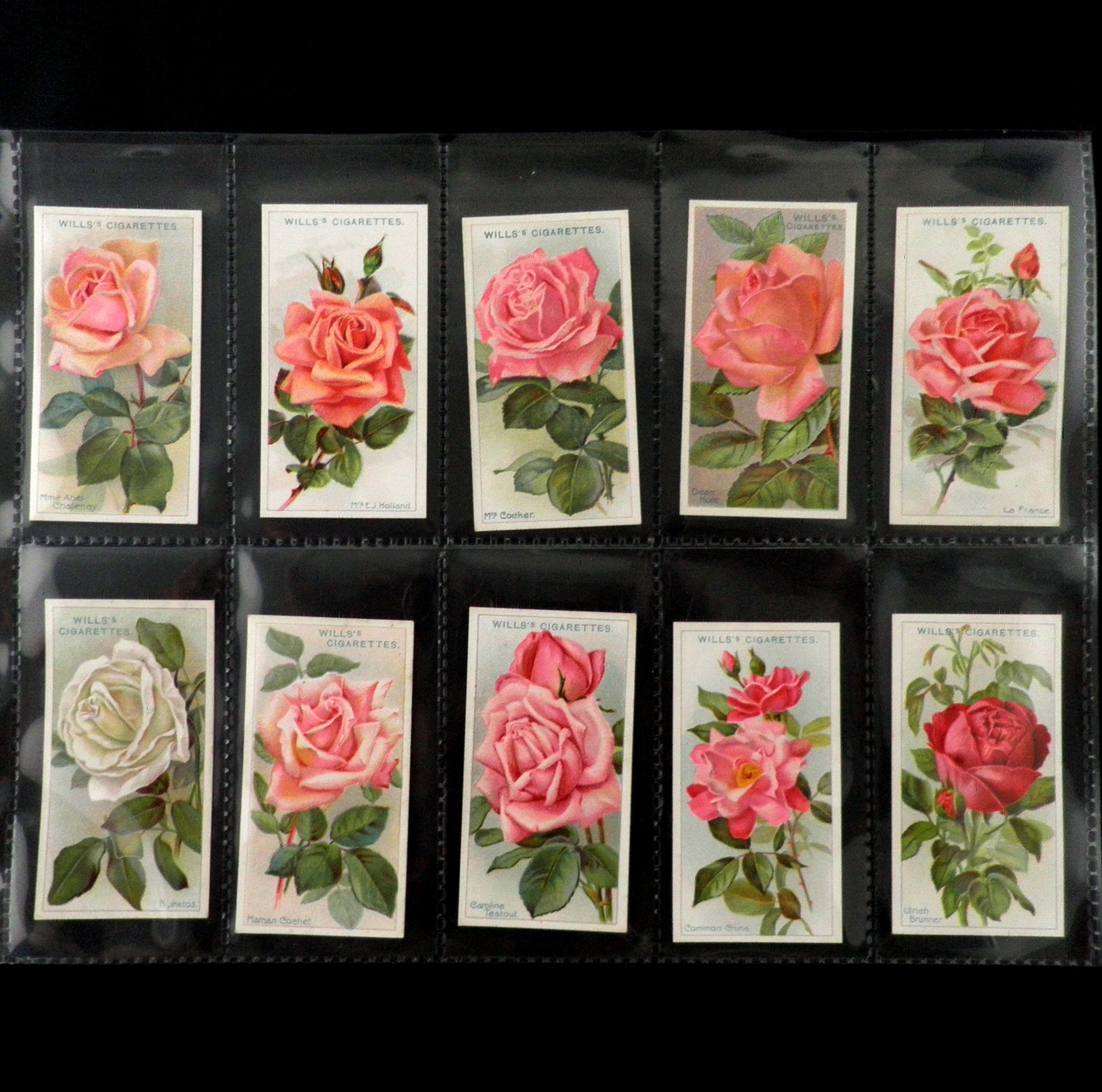 Roses Cigarette Cards by WD and HO Wills Set of 50 Issued in - Etsy