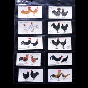 Poultry Cigarette Cards by John Player Set of 50 Issued in 1931 Nature Chickens Rare Breeds Farming Rare image 4