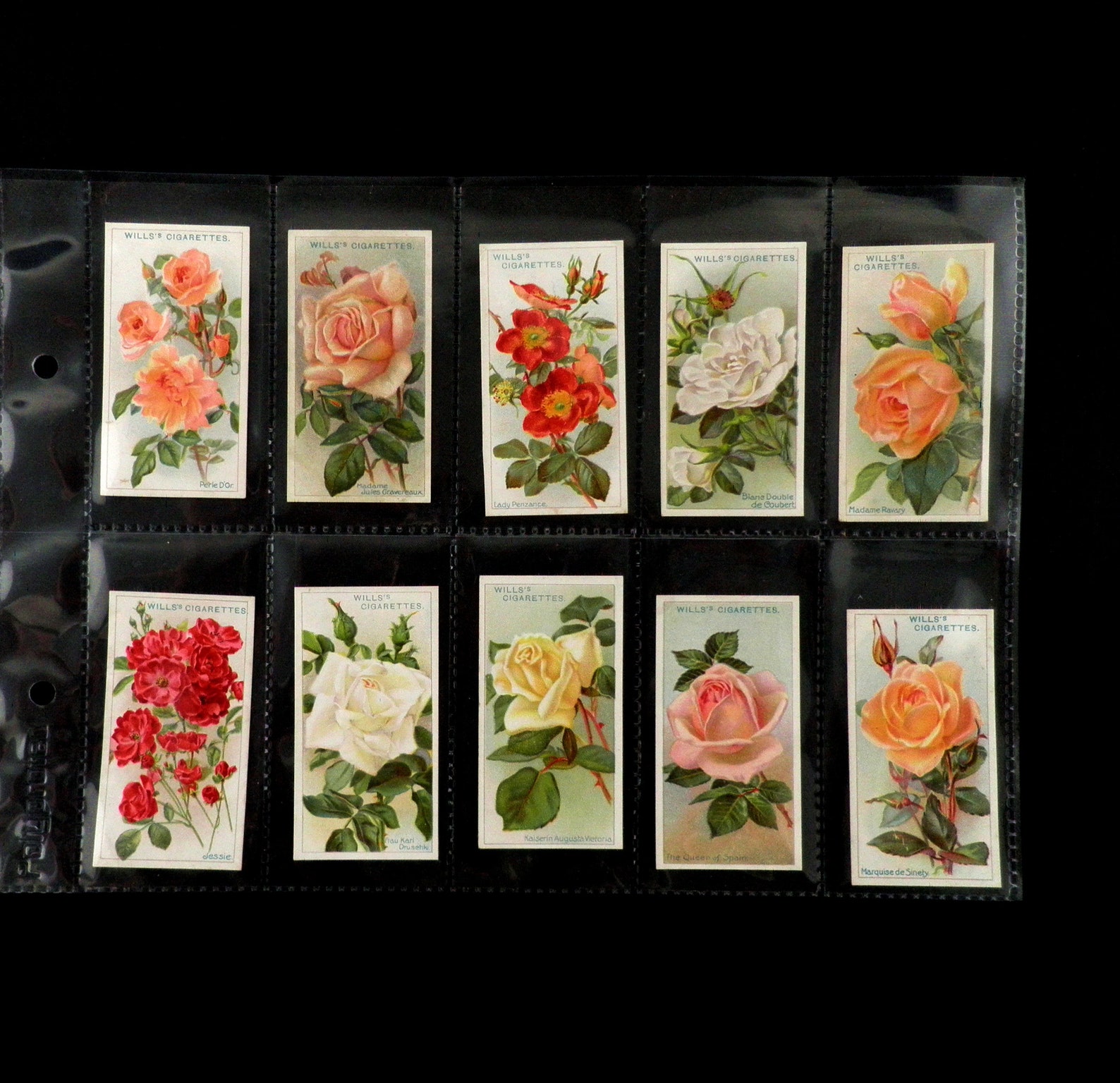 Roses Cigarette Cards by WD and HO Wills Set of 50 Issued in - Etsy