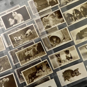 Puede incluir: Una colección de tarjetas de intercambio vintage en blanco y negro con animales. Las tarjetas están organizadas en un archivador de plástico transparente con agujeros para cada tarjeta. Las tarjetas muestran imágenes de gatos, perros y otros animales con leyendas humorísticas.