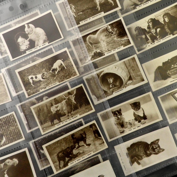 Photographies réelles (1ère série) Cartes à cigarettes par J Millhoff Lot de 27 Publié en 1931 Photos Humour Animaux Animaux Comic Rare Collectable