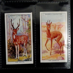 Colour in Nature Cigarette Cards by Ogdens Set of 50 Issued in 1932  Nature Animals Wildlife Investment Rare