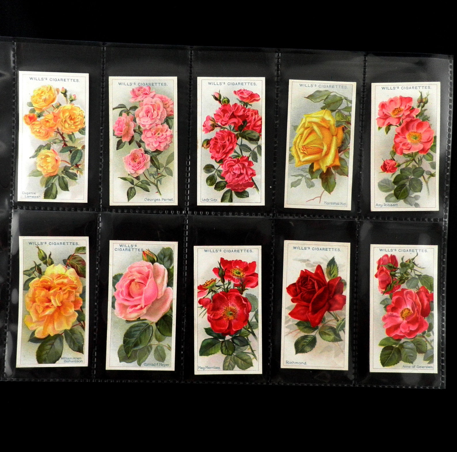 Roses Cigarette Cards by WD and HO Wills Set of 50 Issued in - Etsy