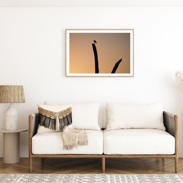 Nature Photography Print Bird - Wall Art - Sunset - Instant Download - Printable File